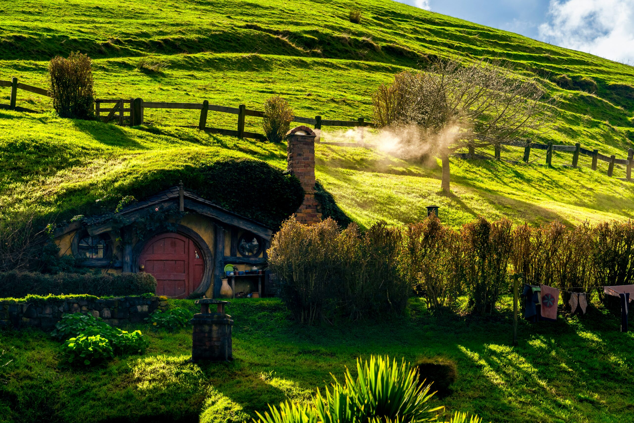 New Zealand Wine Pairing Dinner New Zealand Wine Pairing Dinner